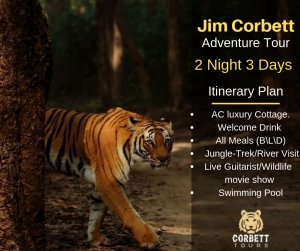 Affordable Tour packages To Jim Corbett.jim corbett packages